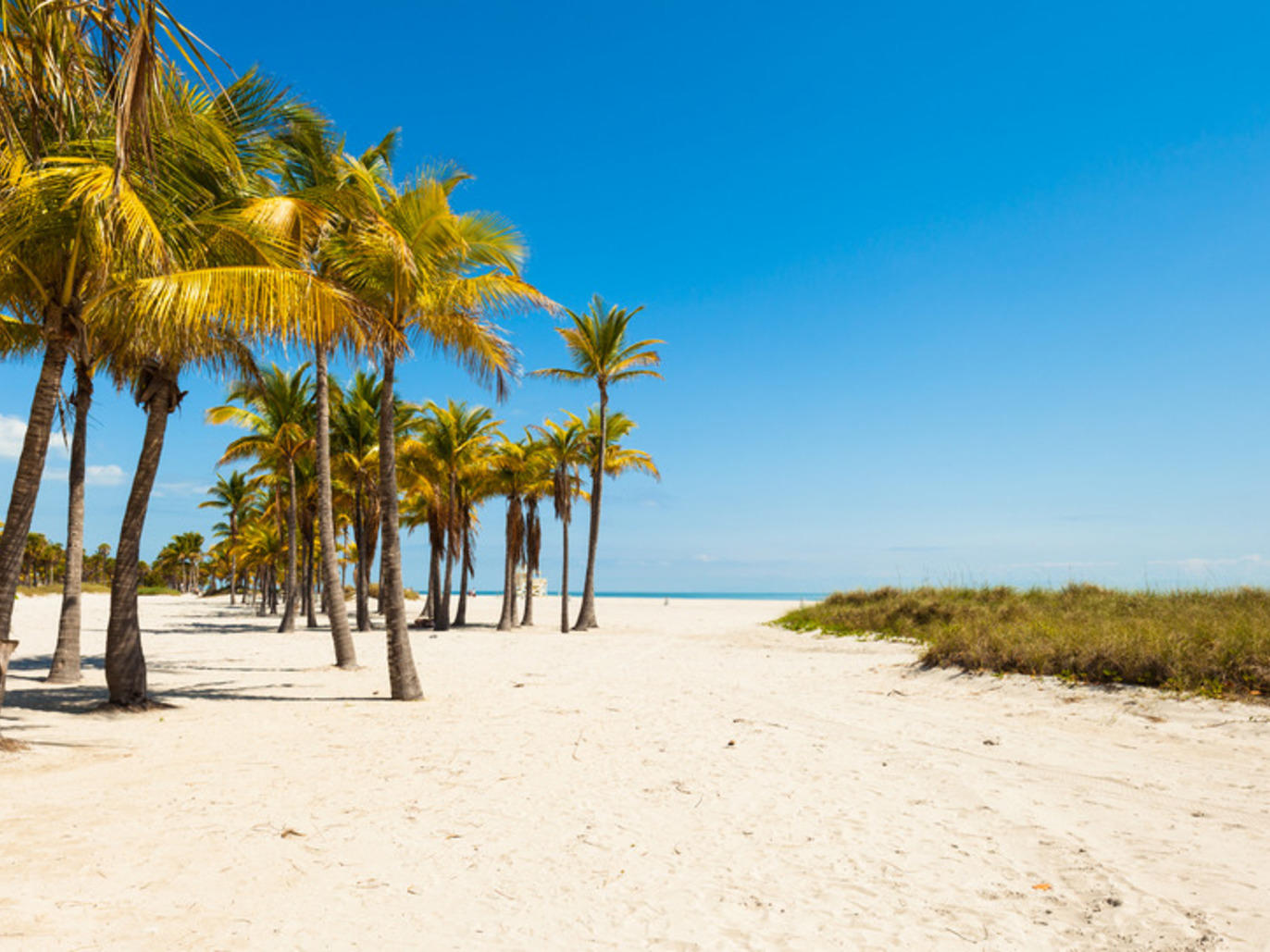 17 Best Beaches in Miami for Fun in the Sun