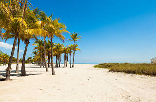 Crandon Park | Things to do in Key Biscayne, Miami