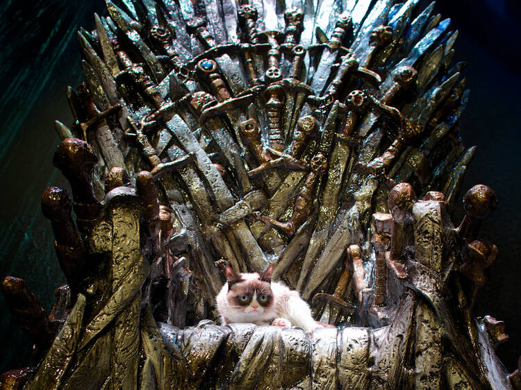 Grumpy Cat on the Iron Throne