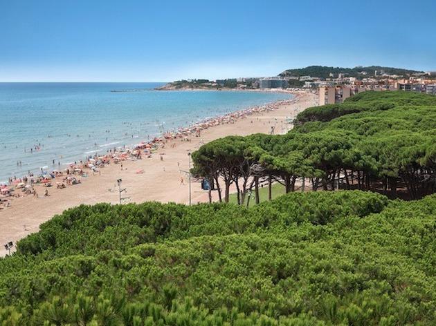 Platja La Pineda Platja La Pineda
