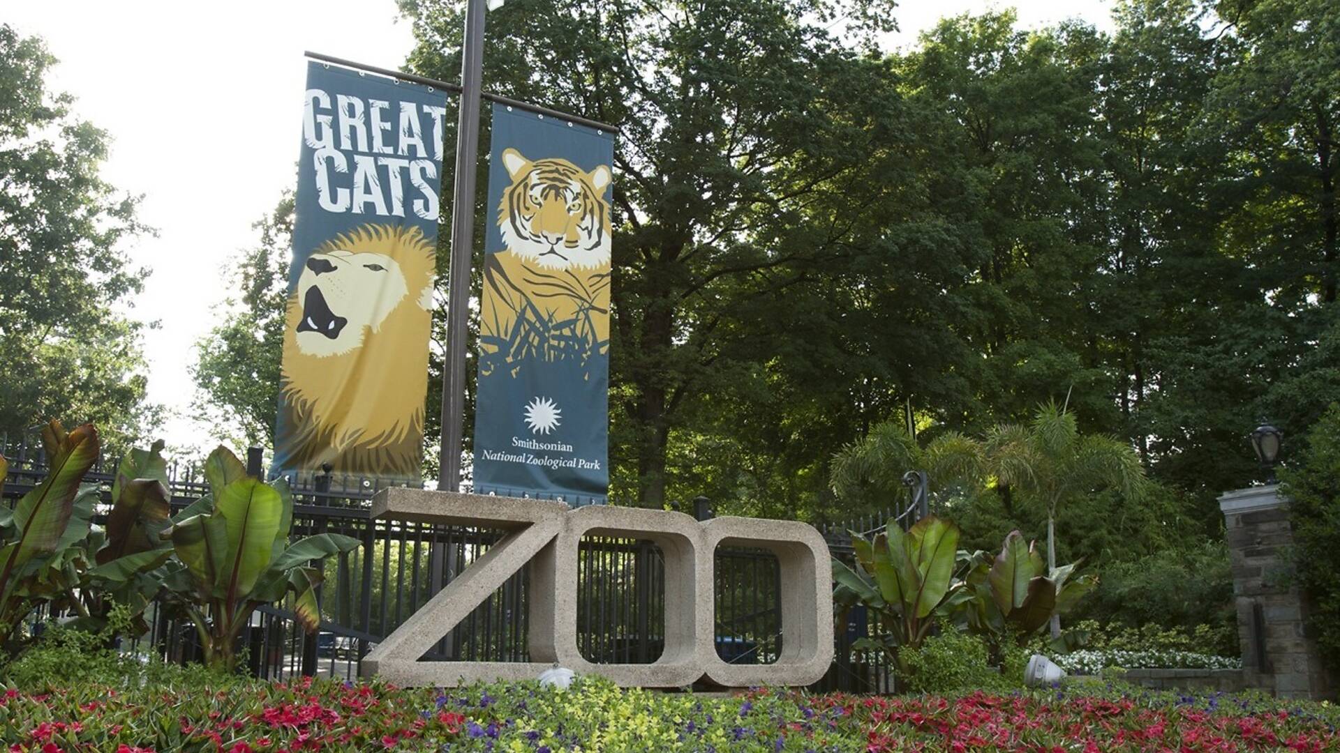 National Zoological Park | Attractions in Woodley Park, Washington DC