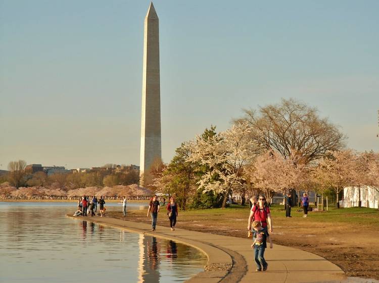 Washington Monument in Washington, D.C.