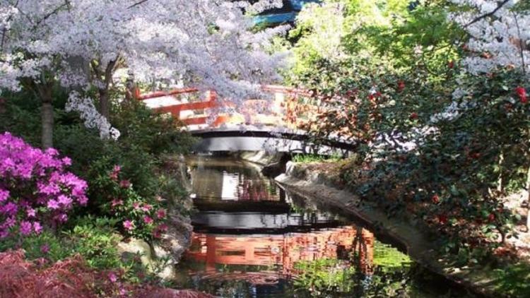 Japanese garden at Descanso Gardens.