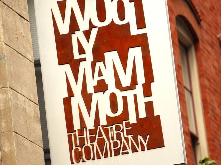 Woolly Mammoth Theatre Company