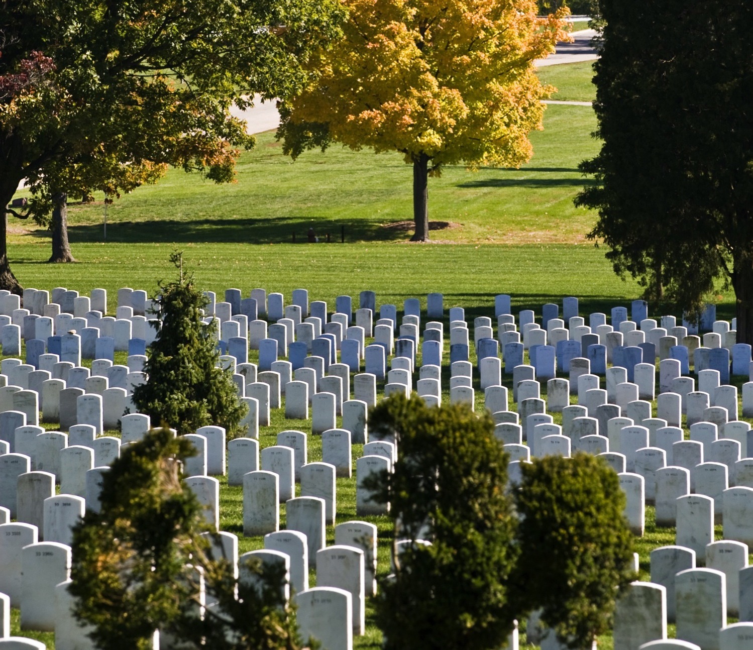Arlington National Cemetery | Attractions in Arlington, Washington DC