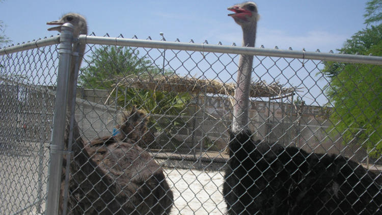 Southern Nevada Zoological Park