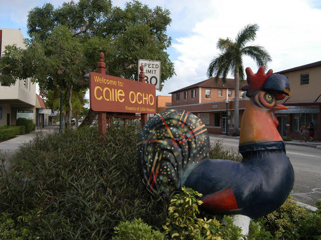 Experience Cuba in Little Havana Experience Cuba in Little Havana