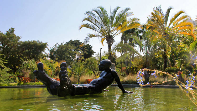 Miami Beach Botanical Garden, big foot