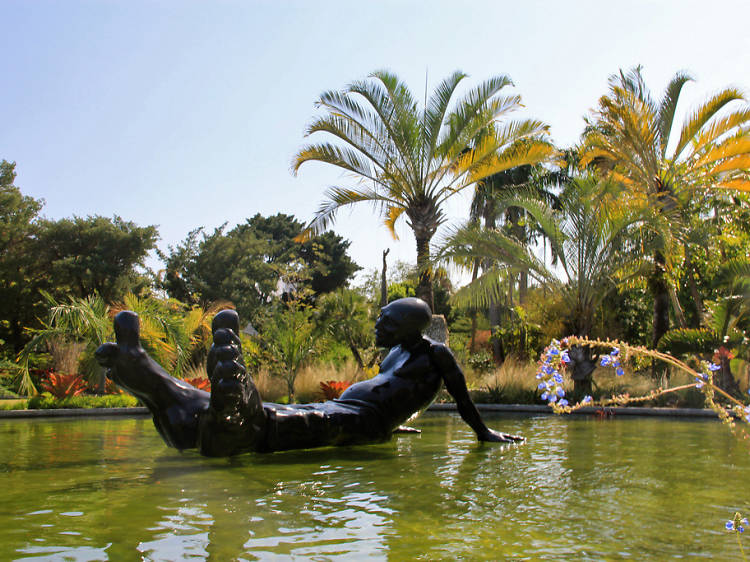 Miami Beach Botanical Garden