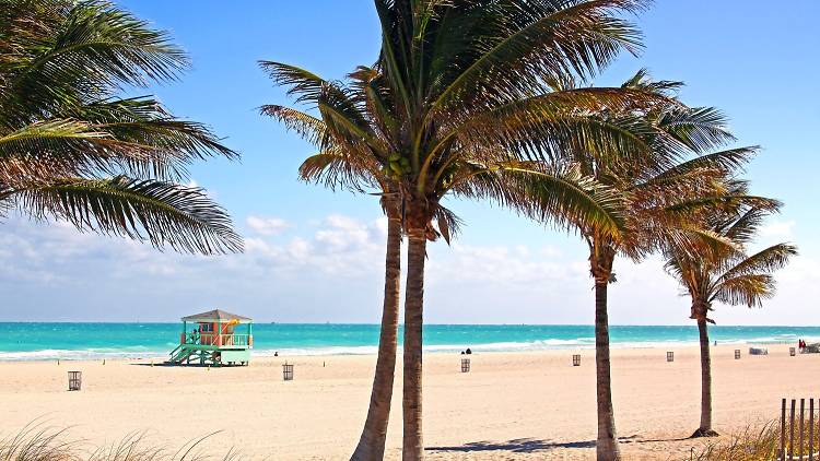 Bask on the best beaches in Miami