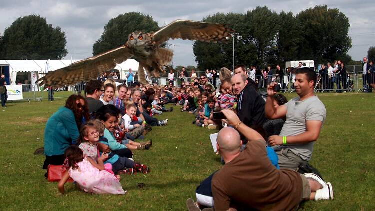 Easter Country Fair, River Lee Country Park