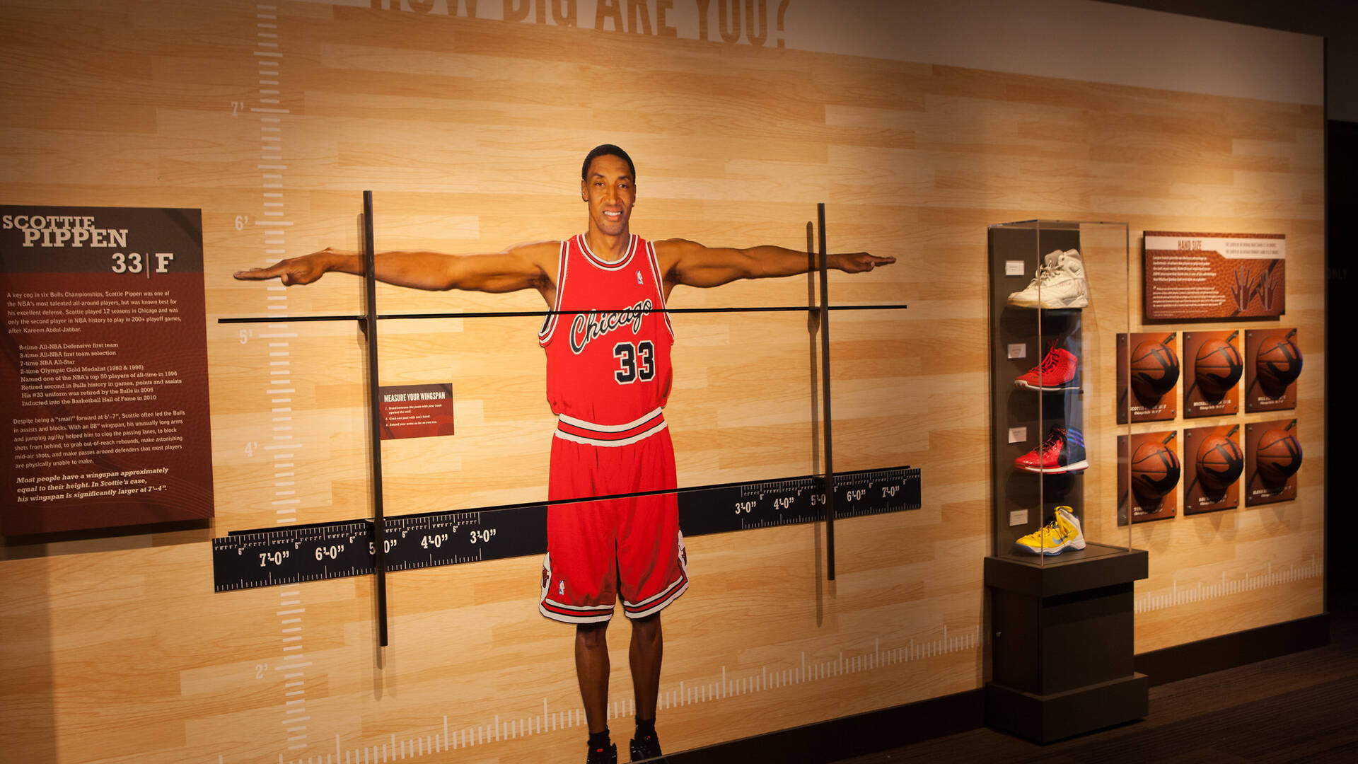 5 coolest artifacts at the Chicago Sports Museum