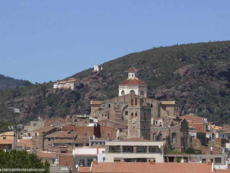 Matí dia 2: Miró i Mont-roig del Camp