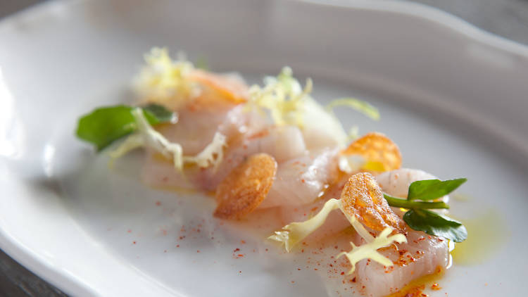 Nico Osteria