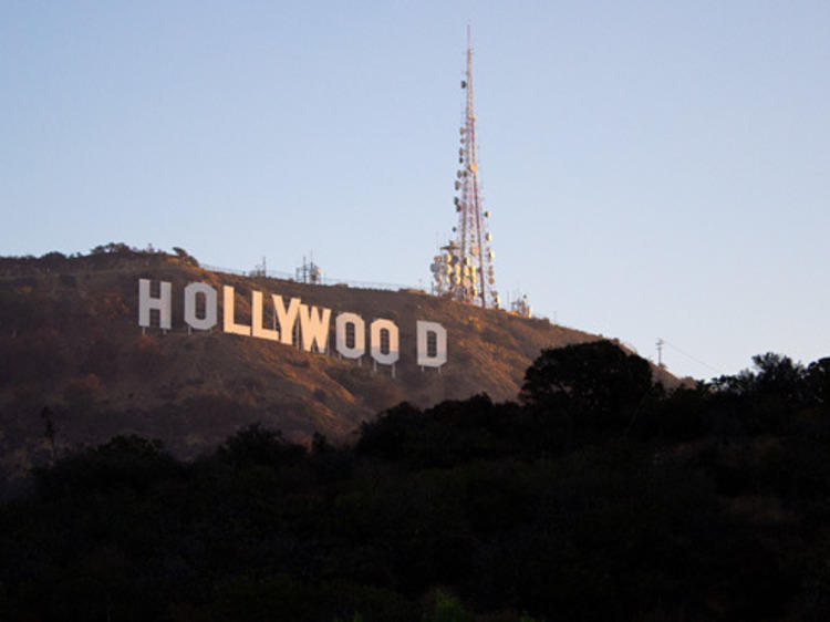 Hike through Griffith Park to find clear views of the Hollywood Sign