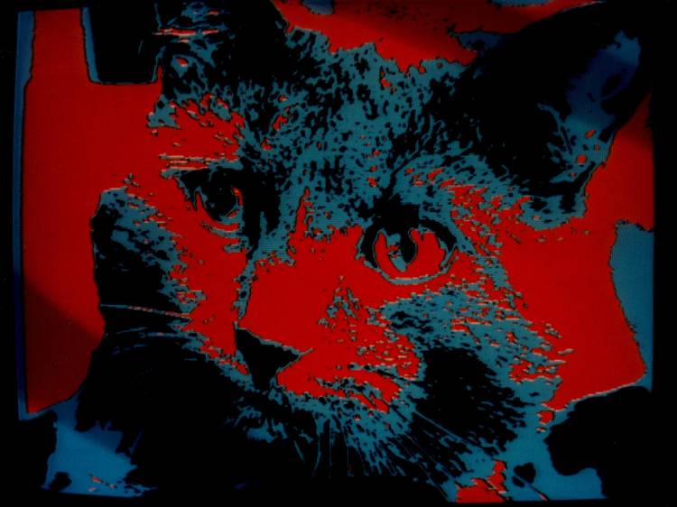 Chris Marker Chris Marker ('Zapping Zone (Proposals for an Imaginary Television)', 1990- 1994)