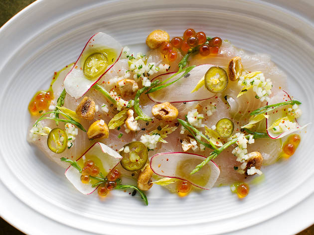 DTLA_LA_Chapter_Amberjack_Crudo_Dylan_James_Ho