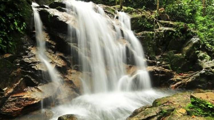 Templer Park