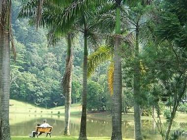 Forest Research Institute Malaysia (FRIM) | Attractions in ...