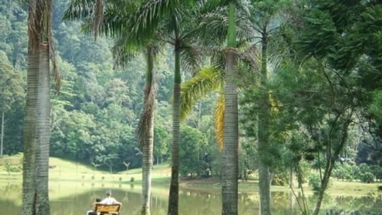 Forest Research Institute Malaysia (FRIM)