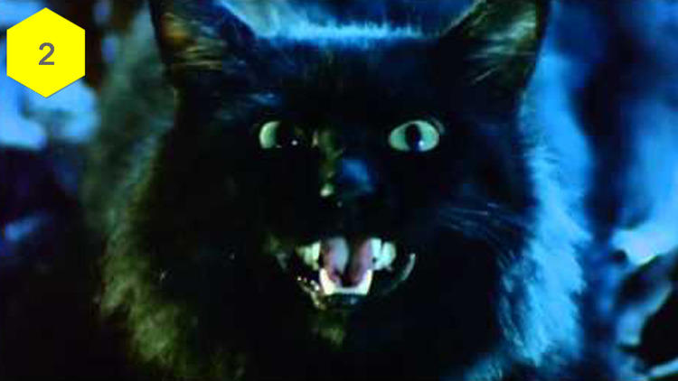 The Cat (1992)