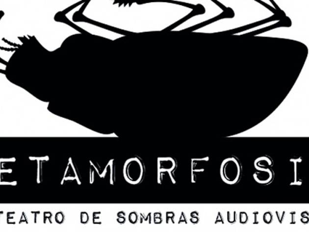 macba metamorfosis macba metamorfosis