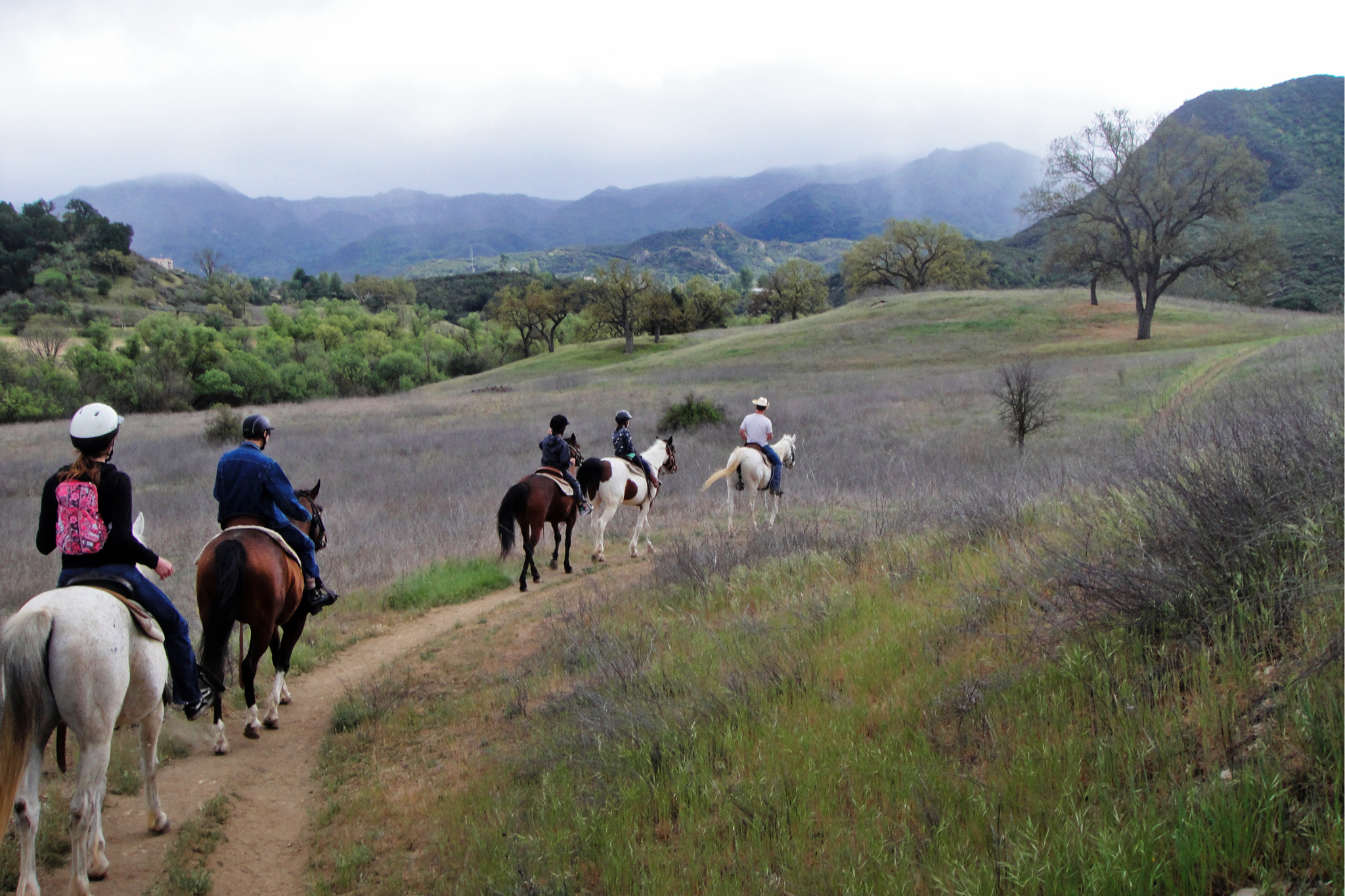 Help replant Paramount Ranch at this all-day party with trees ...