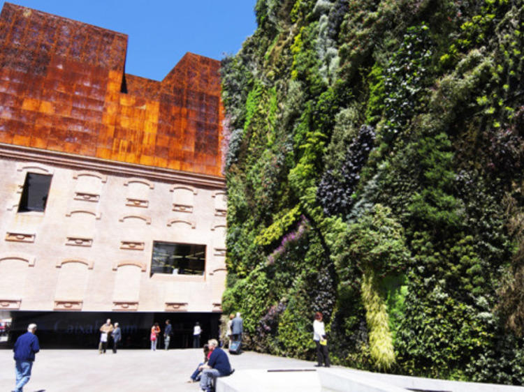 Take in quality exhibitions at the CaixaForum