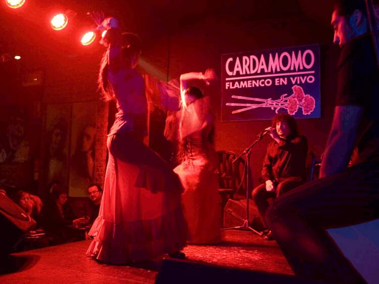 Cardamomo