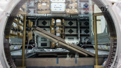 California Science Center | Museums in USC/Exposition Park, Los Angeles