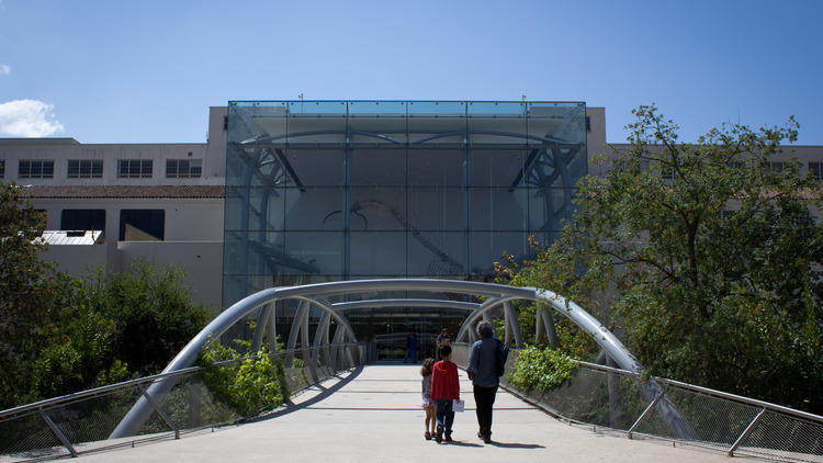 Best history or cultural museum: Natural History Museum