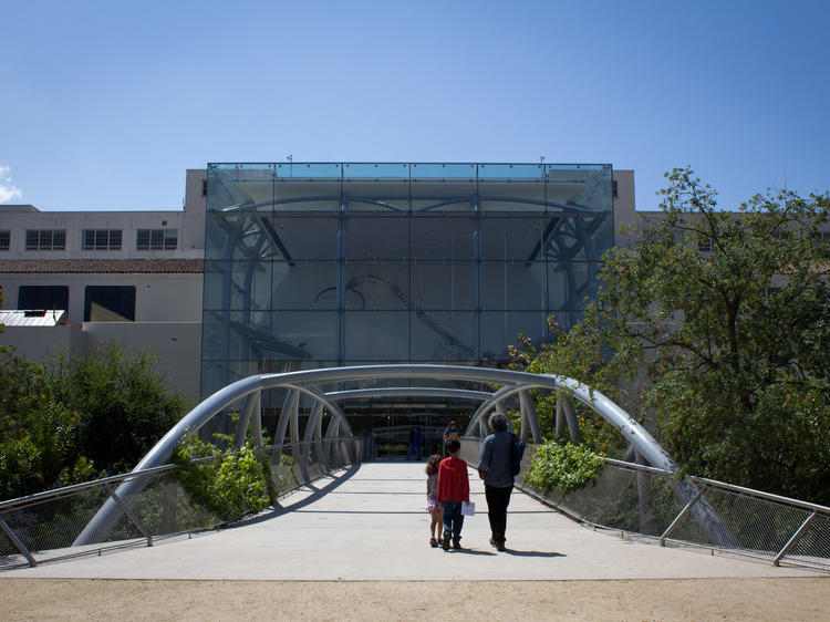 Best history or cultural museum: Natural History Museum