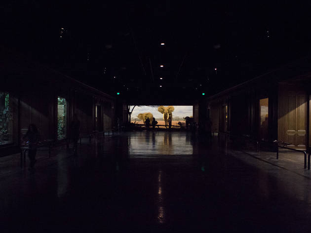 (Photograph: Michael Juliano)