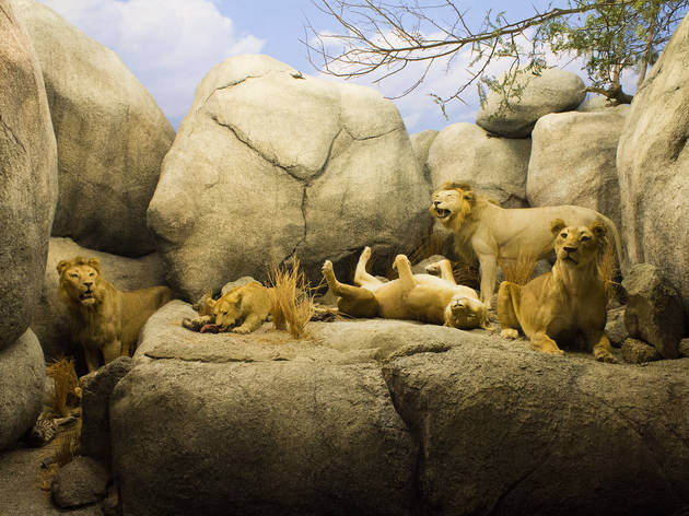 (Photograph: Michael Juliano)