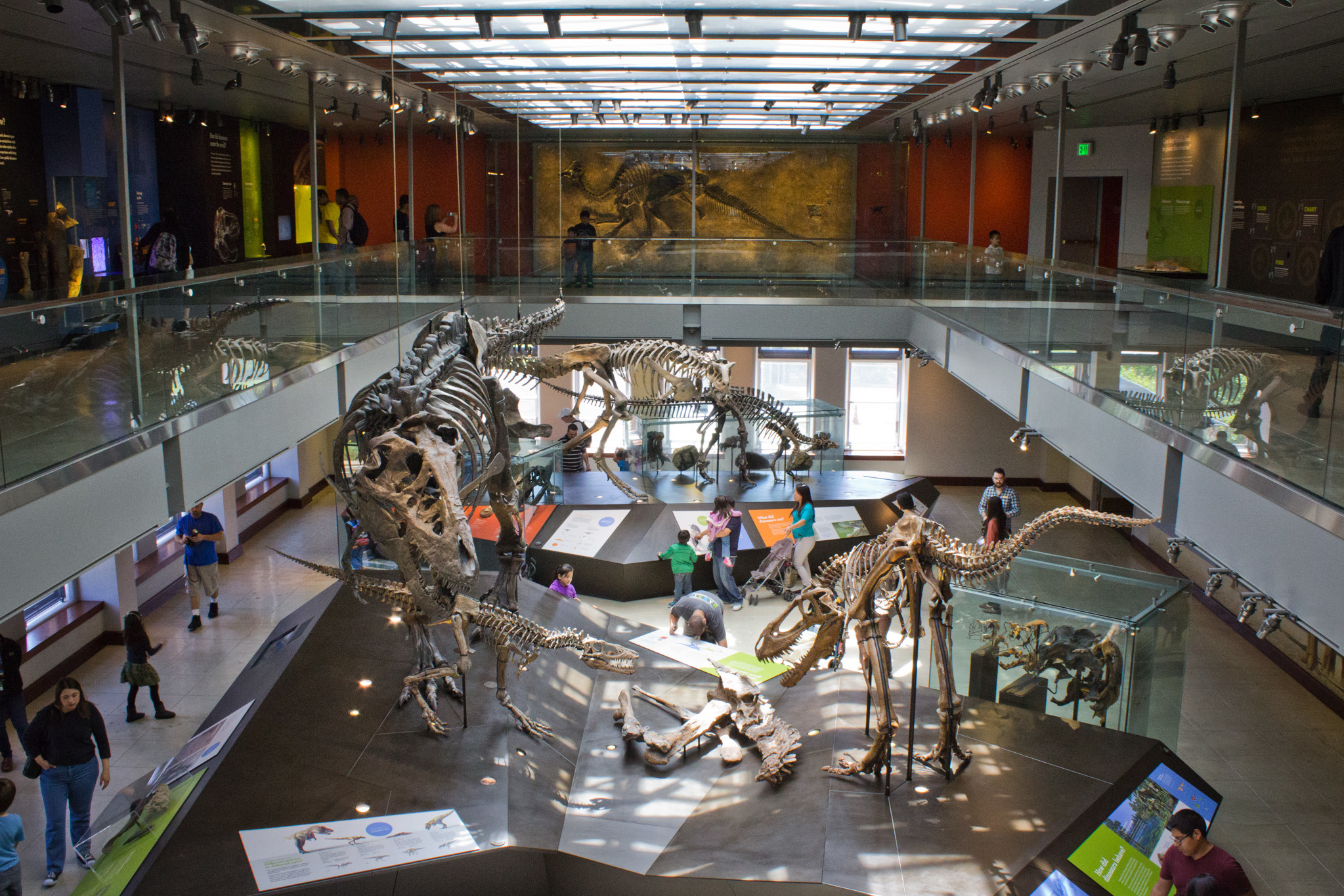 Un paseo por el Museo Nacional de Historia Natural de los Estados Unidos