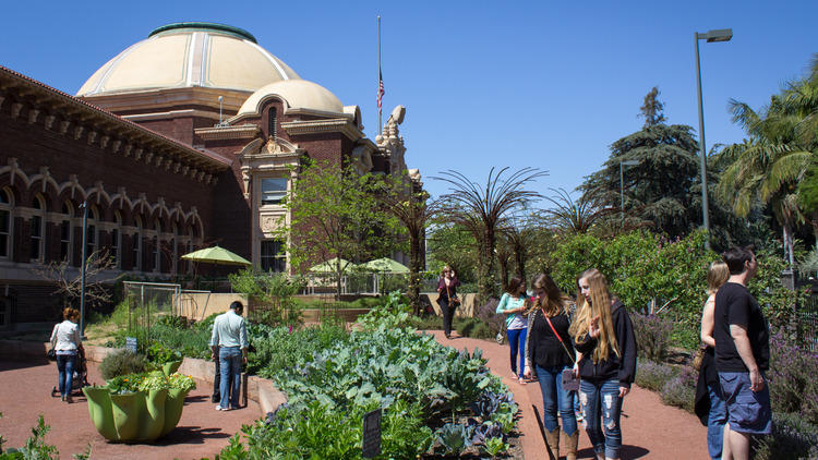 Natural History Museum of Los Angeles.