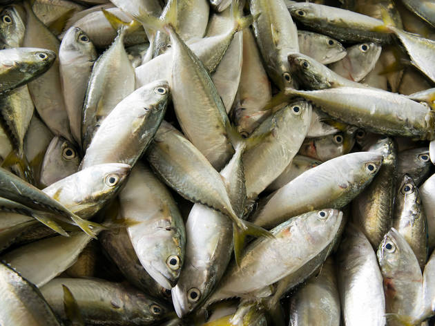 Fish market Fish market