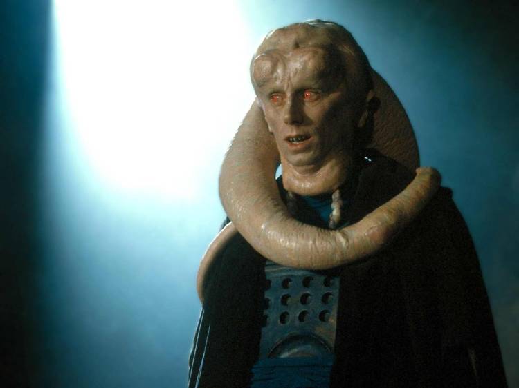 Bib Fortuna