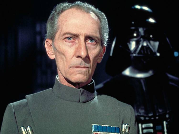 The Grand Moff Tarkin