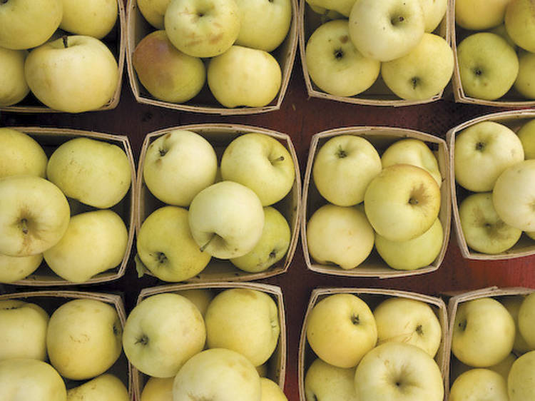 Wicker Park Farmers Market