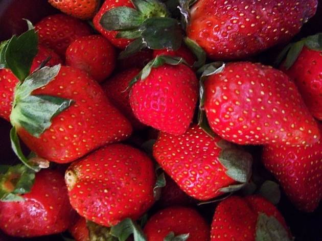 Strawberries Farmers Market