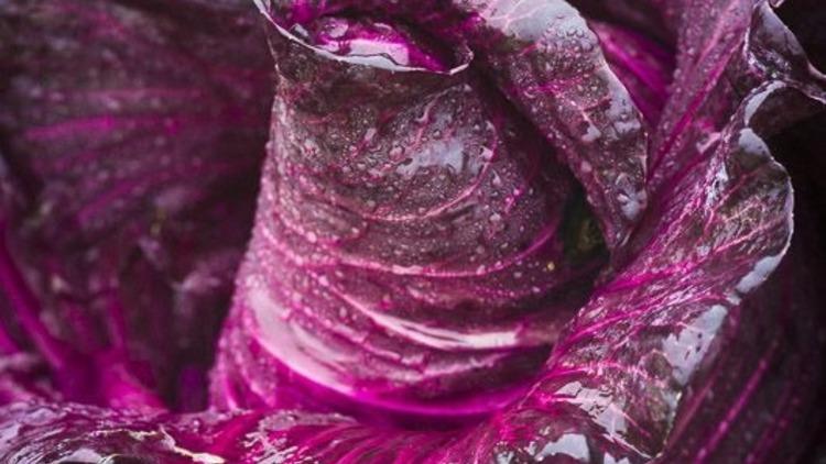 Manuela Ruether ('Blue Sweetheart Cabbage'. Category winner: Food in the Field)