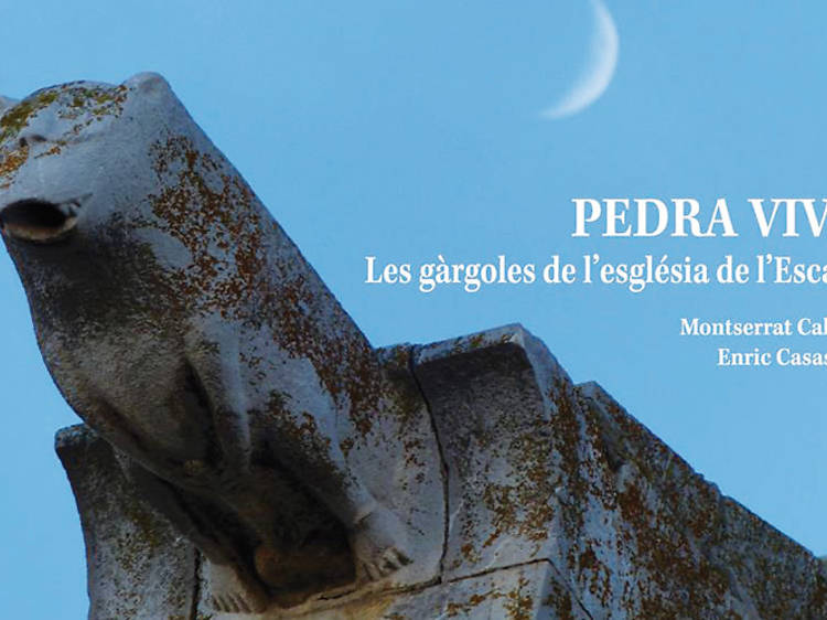 Pedra viva Pedra viva