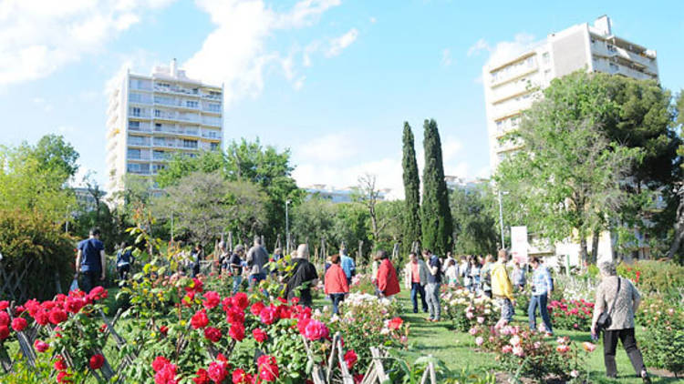 Concurs Internacional de Roses Noves de Barcelona 