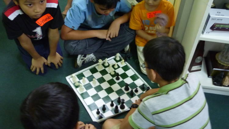 Polgar Chess Asia