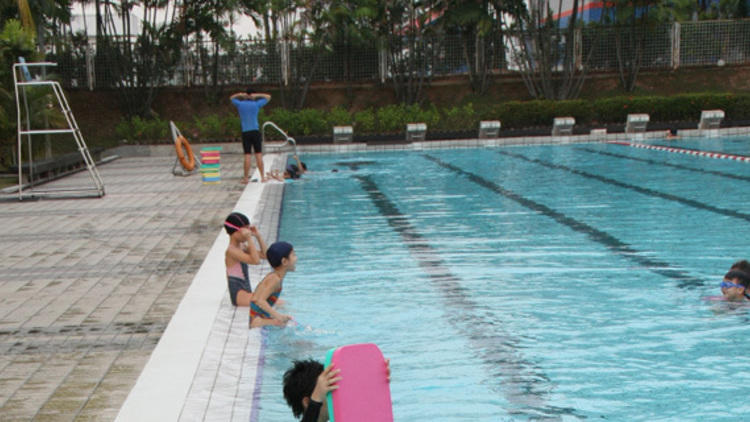 D Swim Academy