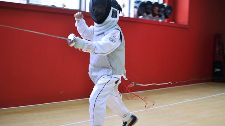 Z Fencing