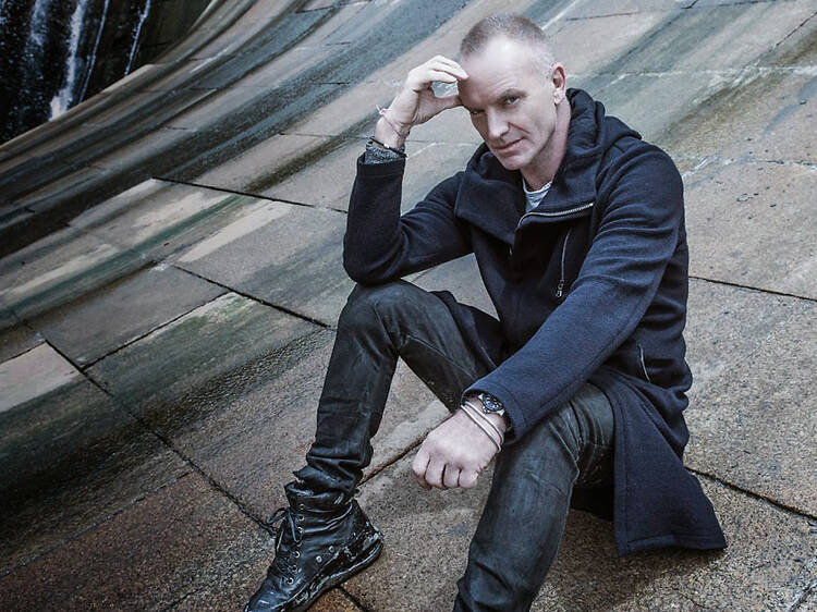 Sting