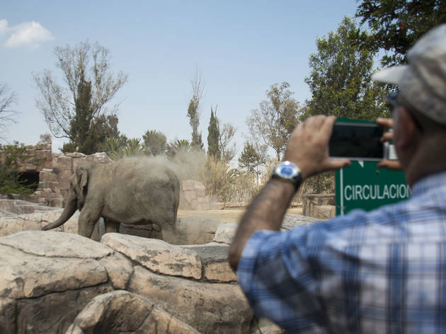 Zoológico de San Juan de Aragón Zoológico de San Juan de Aragón