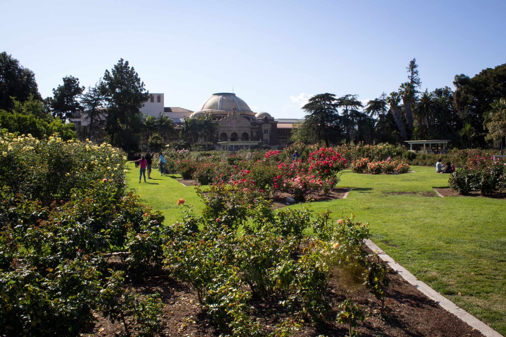 Best Botanical Gardens And Hidden Oases In Los Angeles